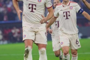 华体会下载-关于拜仁轻取本菲卡，托马斯穆勒扑点救主欧联杯的信息