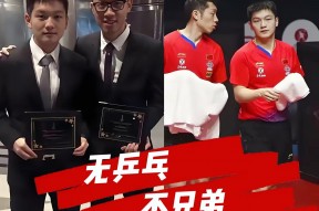 华体会登陆-德国乒乓球队血洗波兰乒乓球队，许昕送出助攻